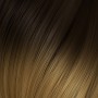 4/14O. Brown / Light Golden Blond Copper