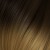 4/14O. Brown / Light Golden Blond Copper